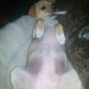 Meet your Posher, Lisa